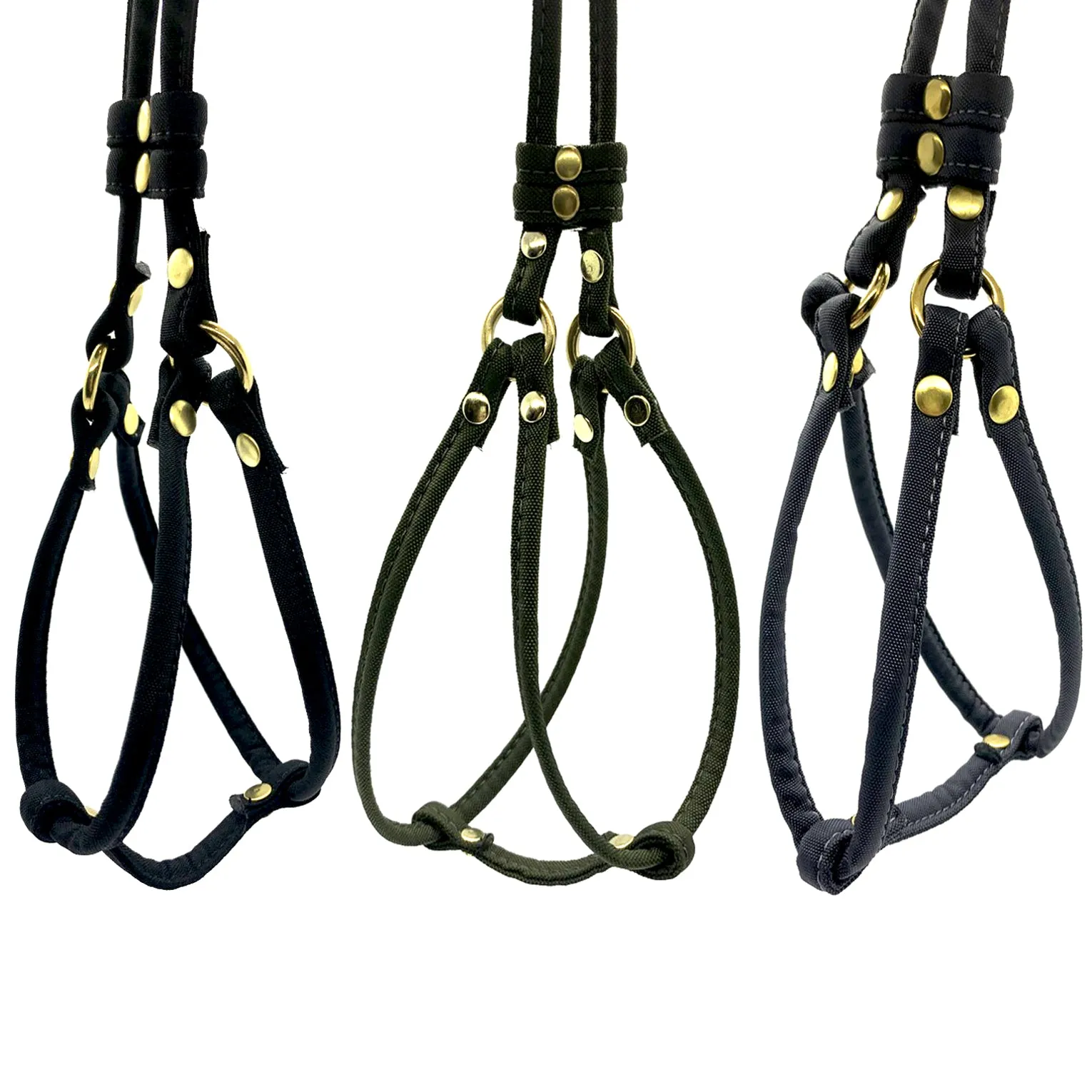 Dog Bar Brass Step-In Nylon Dog Harness w/ Leash