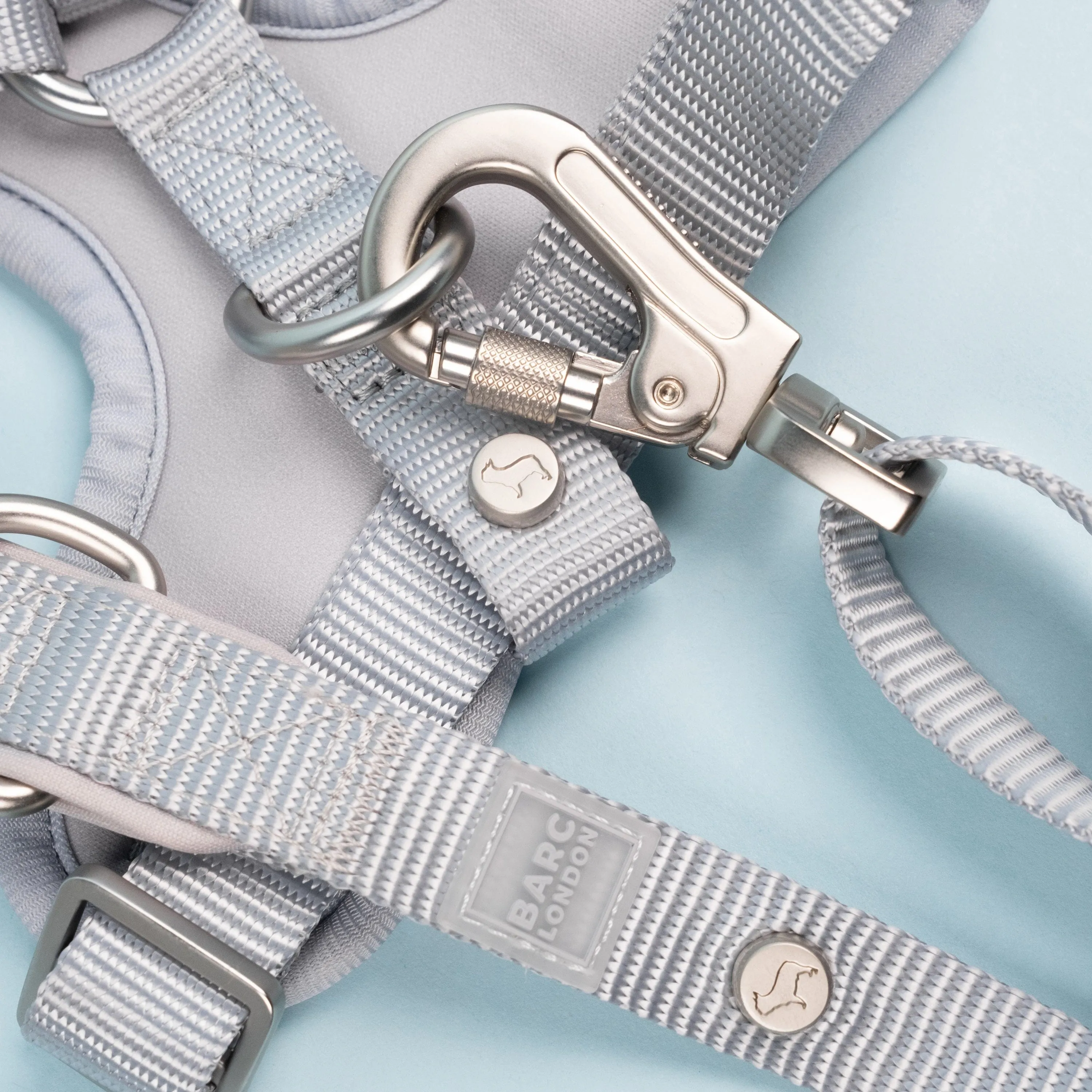 Essential Nylon Adjustable Lead | Frosted Blue