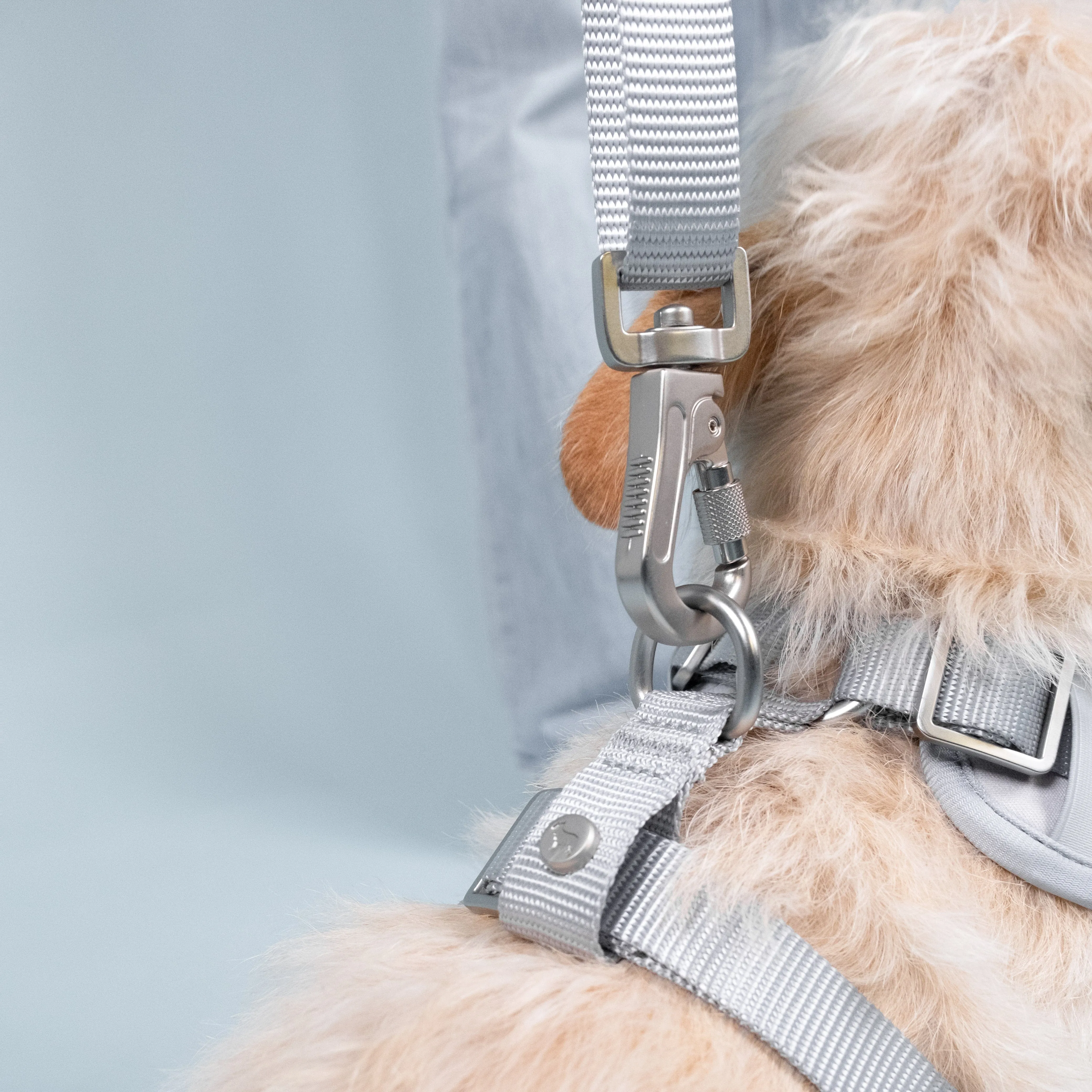 Essential Nylon Adjustable Lead | Frosted Blue