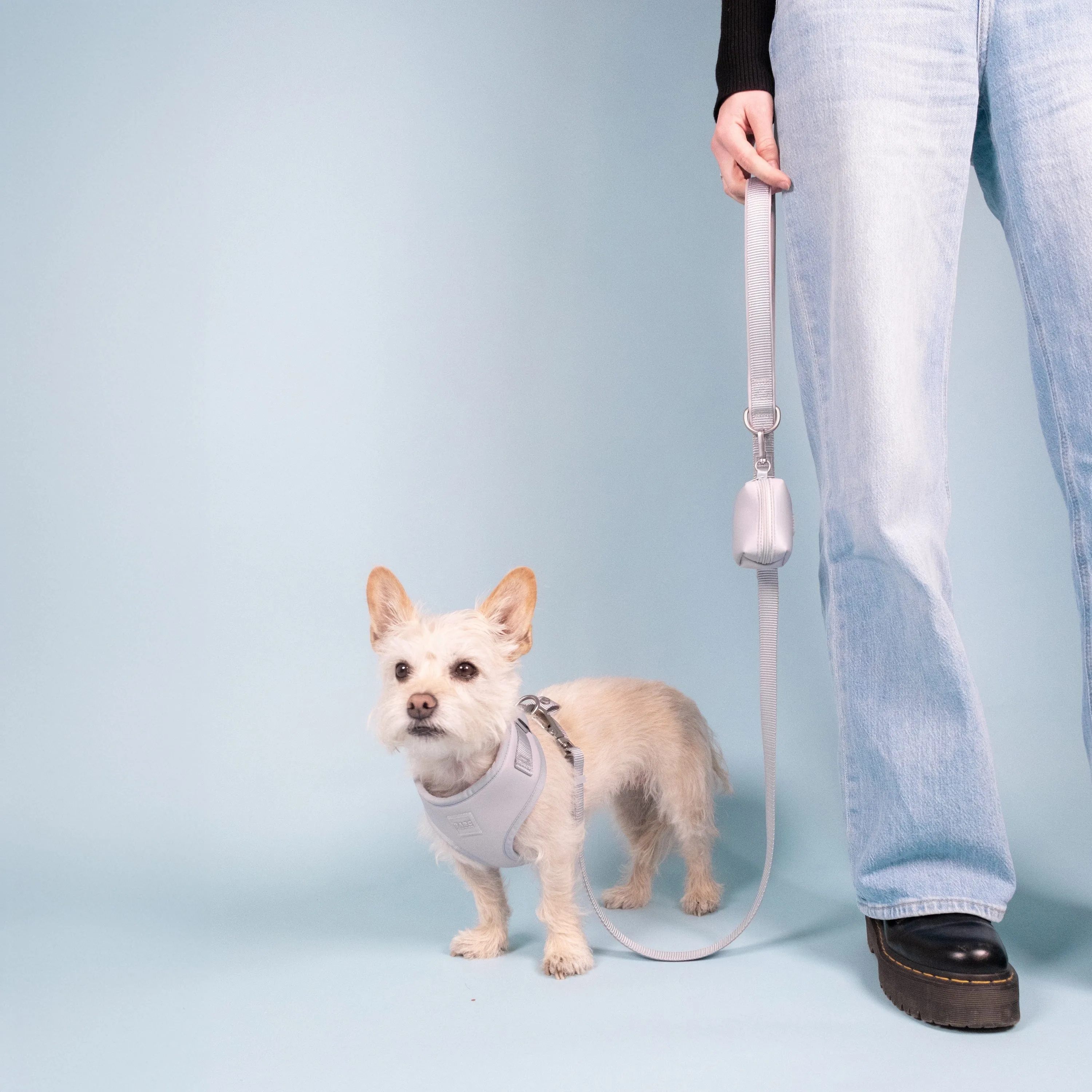 Essential Nylon Adjustable Lead | Frosted Blue