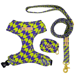 Fetch Master - Walking Bundle