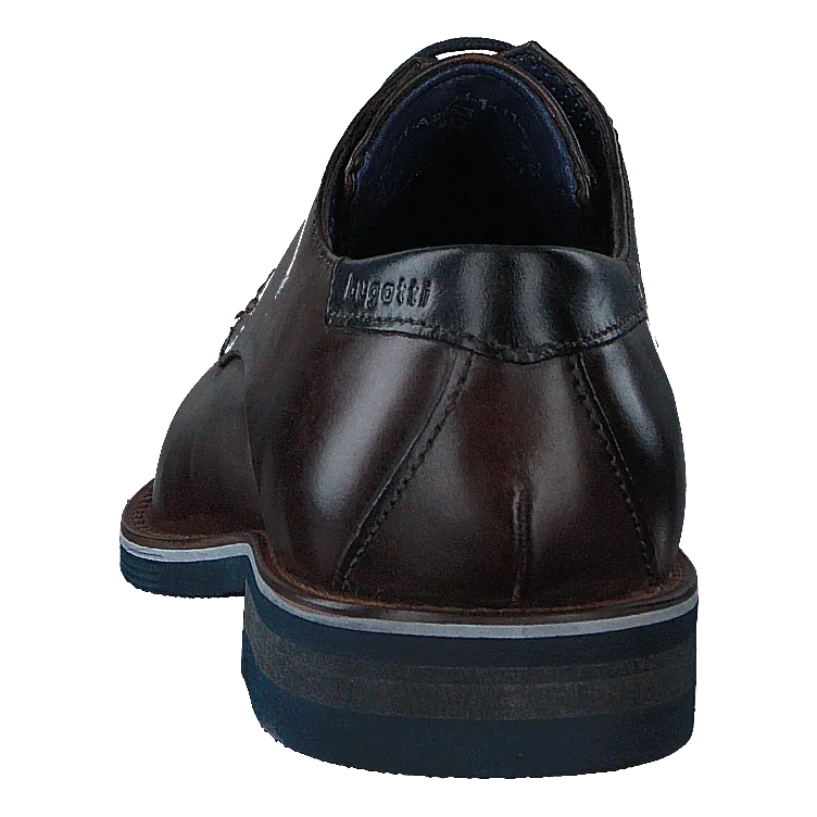 Laino 6161 Dark Brown / Dark Brown