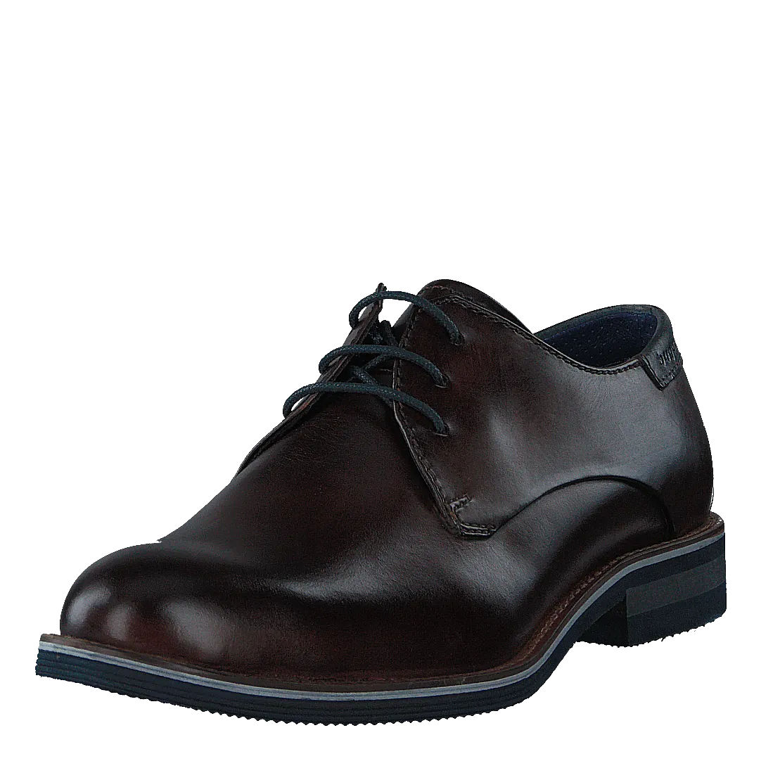 Laino 6161 Dark Brown / Dark Brown