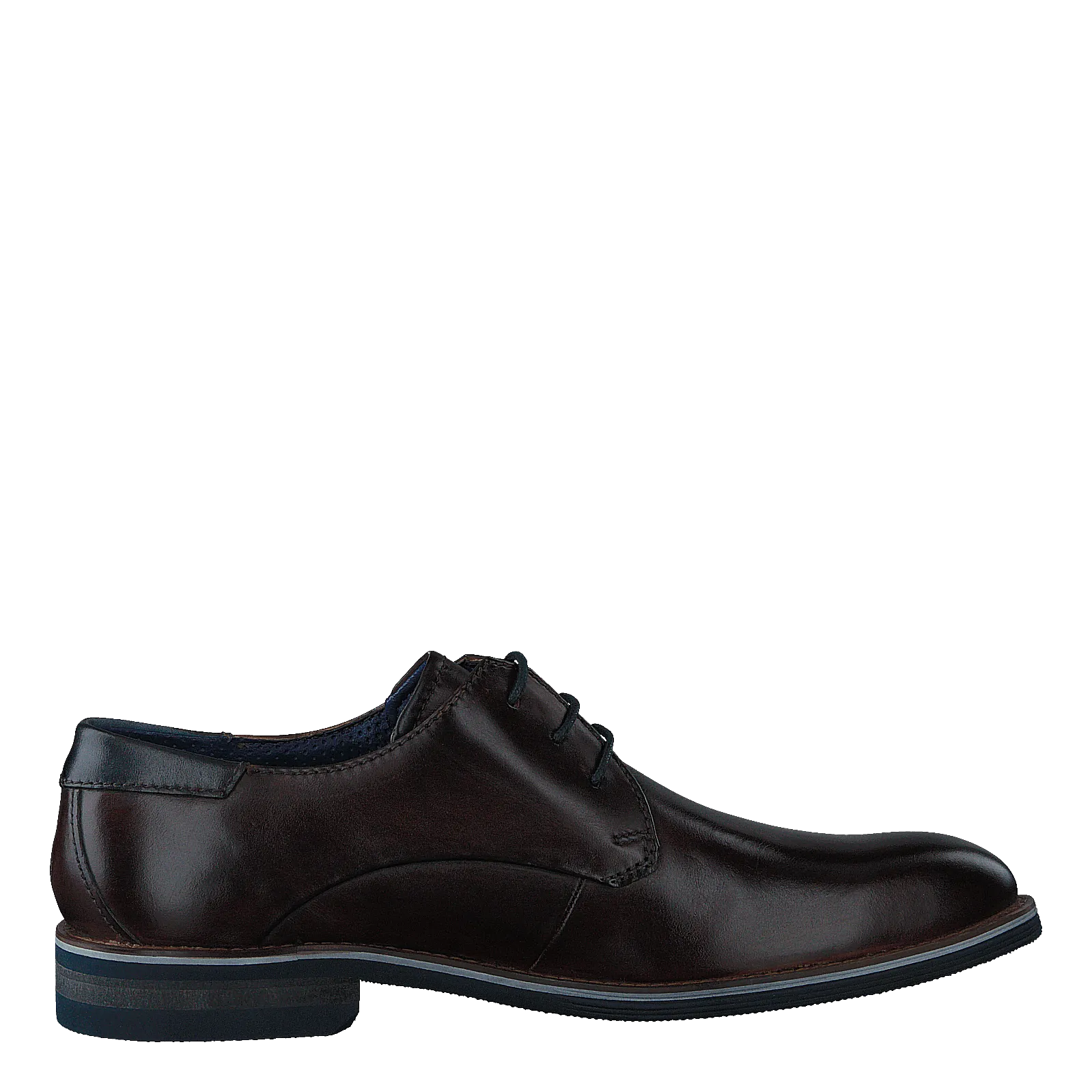 Laino 6161 Dark Brown / Dark Brown