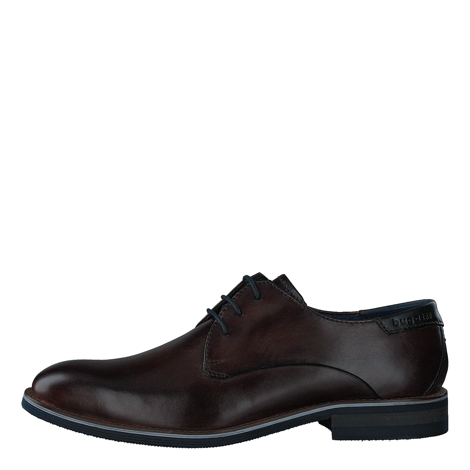 Laino 6161 Dark Brown / Dark Brown