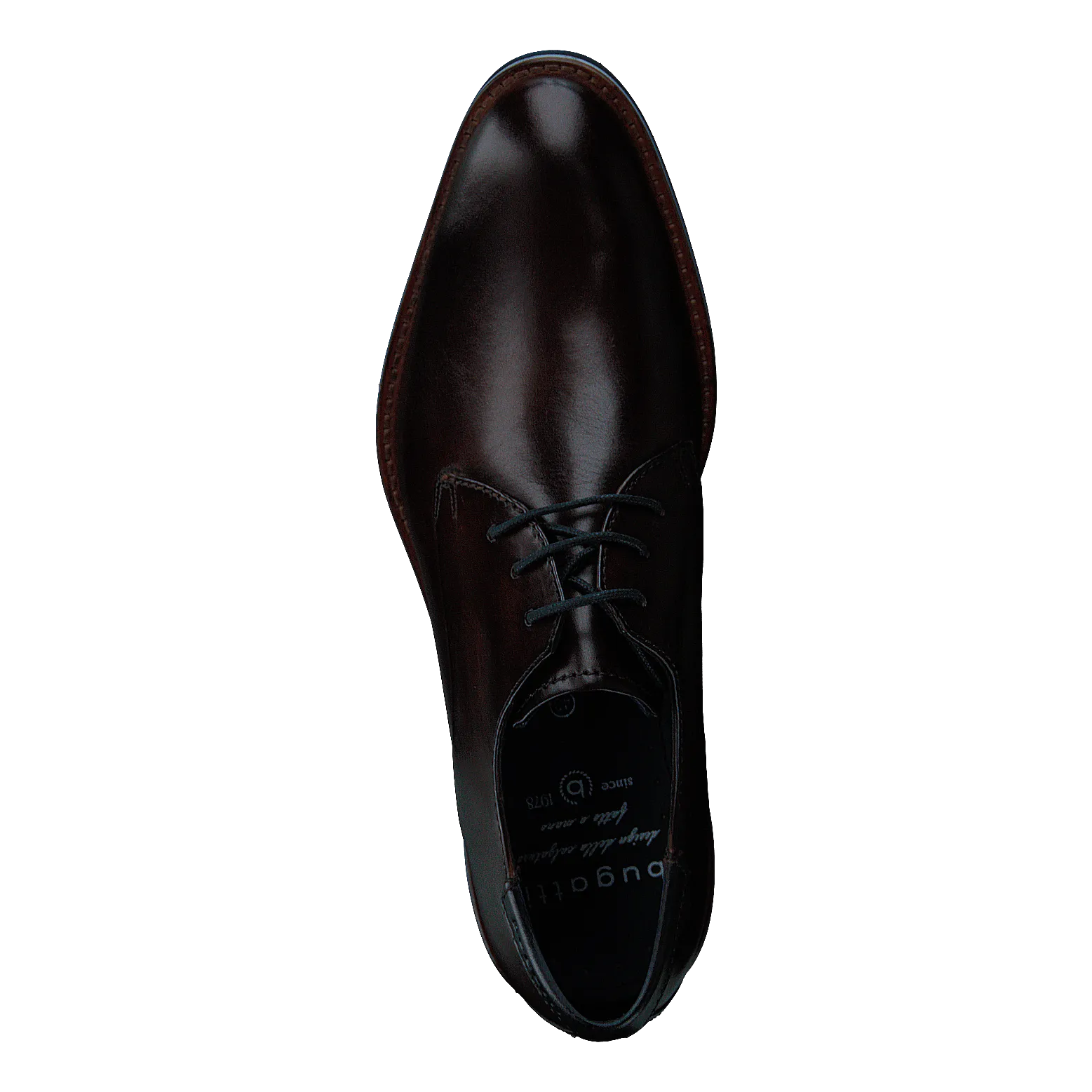 Laino 6161 Dark Brown / Dark Brown