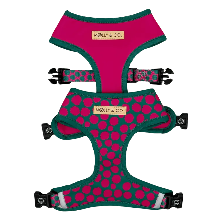 Polka Dogz - Walking Bundle